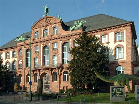 senckenberg museum frankfurt jobs